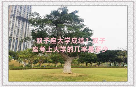 双子座大学成绩？双子座考上大学的几率是多少