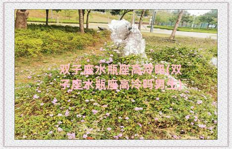 双子座水瓶座高冷吗(双子座水瓶座高冷吗男生)