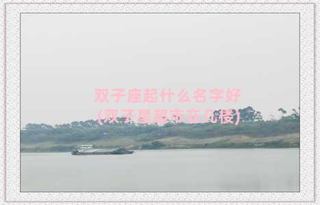 双子座起什么名字好(双子星超市在几楼)