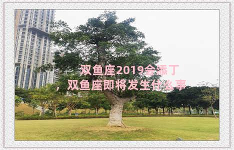 双鱼座2019会添丁，双鱼座即将发生什么事