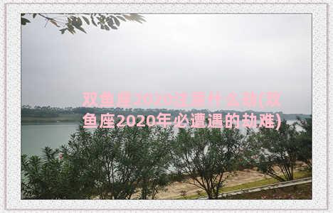 双鱼座2020注意什么劫(双鱼座2020年必遭遇的劫难)