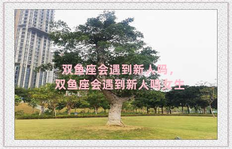 双鱼座会遇到新人吗，双鱼座会遇到新人吗女生