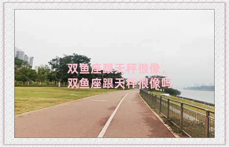 双鱼座跟天秤很像，双鱼座跟天秤很像吗