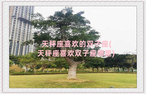 天秤座喜欢的双子座(天秤座喜欢双子座哪里)