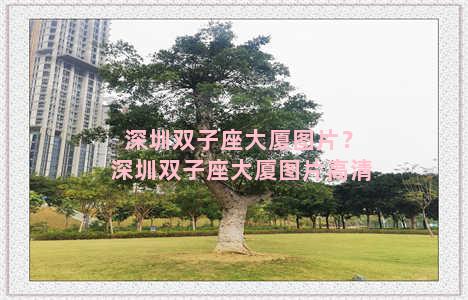 深圳双子座大厦图片？深圳双子座大厦图片高清