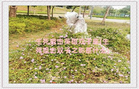 生死狙击英雄双子座(生死狙击双子之影是什么)